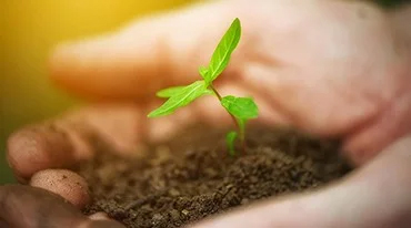 Survey, Valuation & Estimation